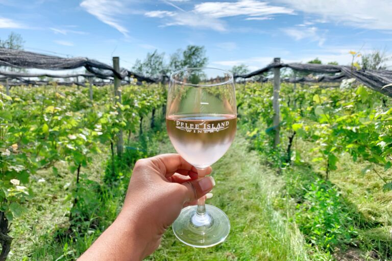 Sip and Savor at Pelee Island Winery