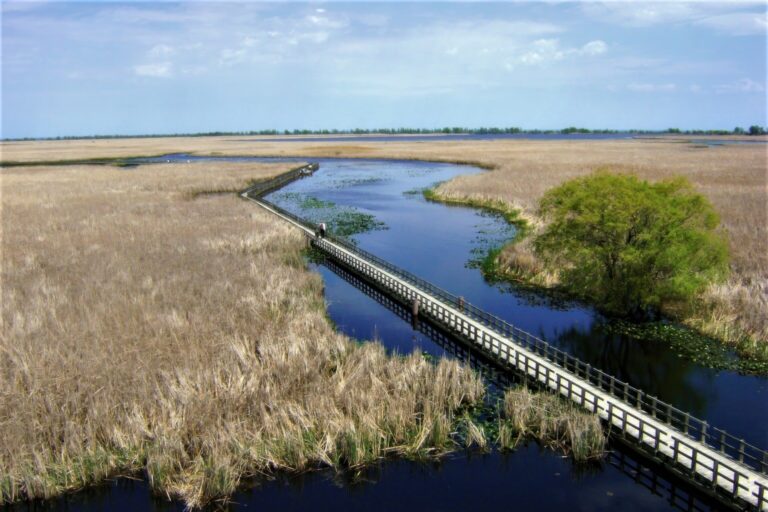 Explore Nature’s Masterpiece at Point Pelee National Park
