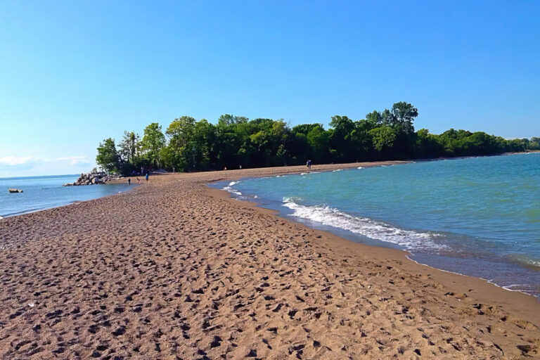 Immerse Yourself in Coastal Majesty at Seacliff Beach Park